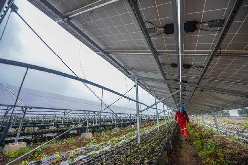 中國十三省最大光伏電站在這里！欽州康熙嶺的光伏電站能排上號了嗎？